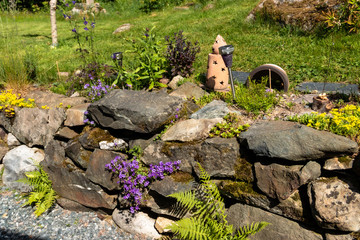 different plants growing on a stone wall in the garden