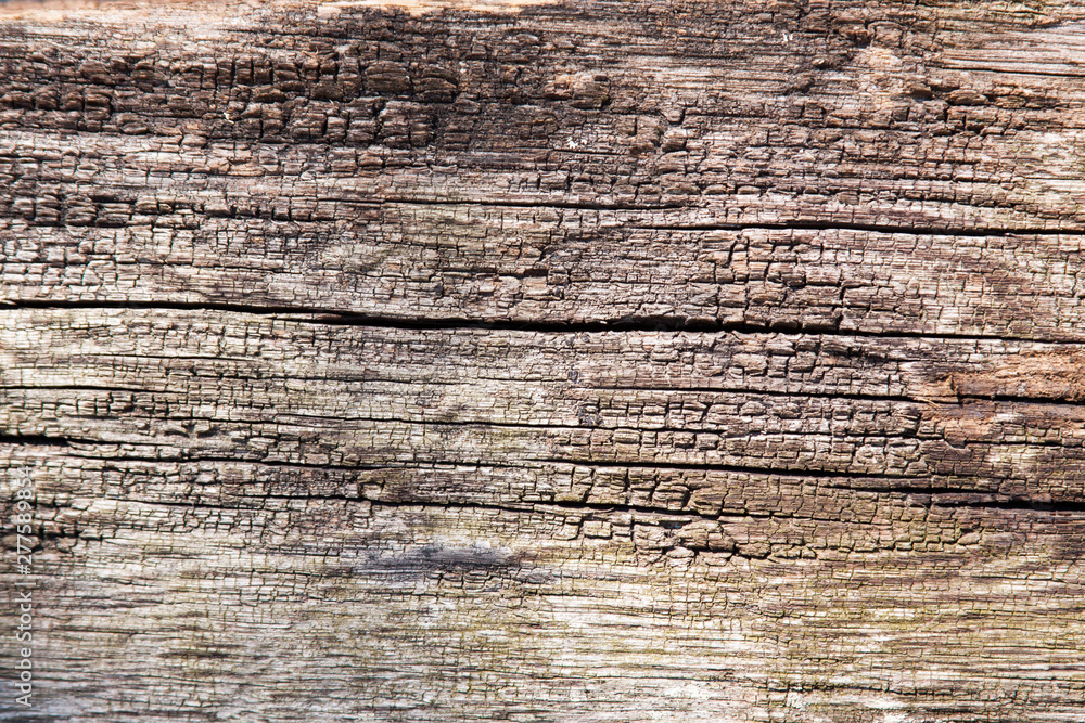 Wall mural old wood texture background