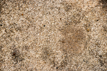 Brown Rough wall grit texture