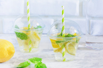 Cool Refreshing Water with Lemon and Mint Leaf