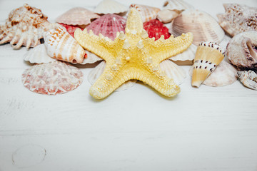 Seashells from the sea on a wooden white background. The concept of holidays and the import of souvenirs from the sea. Returning home from vacation. Sea shells isolated.