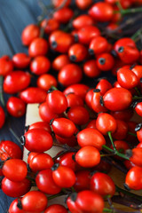 fresh red berries of Dog rose Rosehips, types Rosa canina hips. Medicinal plants and herbs composition