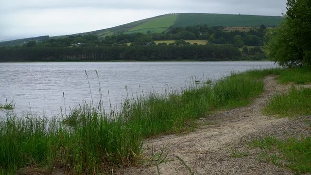 A natural walking trail around the Blessington Reservoir near Dublin, Ireland. Small waves rippling along the shore with green grass and reeds. Camera pans left.