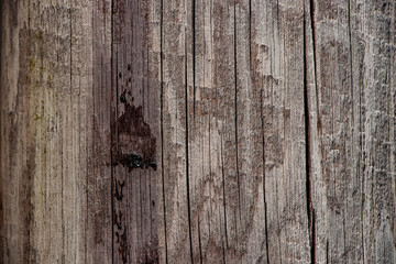 Rough wood pannel surface texture