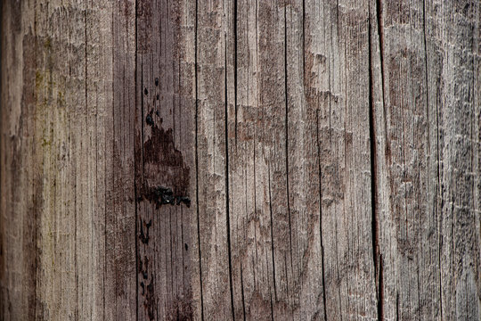 Rough Wood Pannel Surface Texture