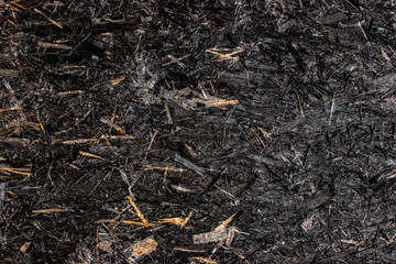 Fototapeta premium Black painted wood chip texture