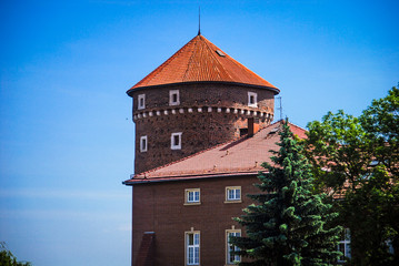 Krakow tower 5 © StellaSalander