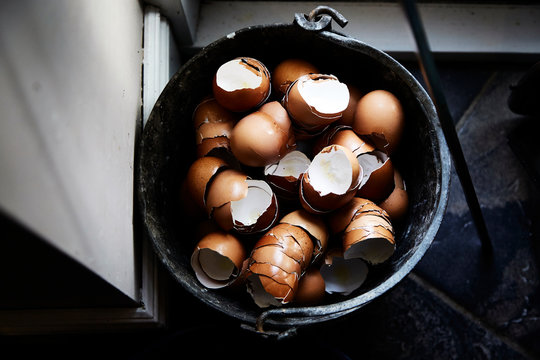 Eggshells