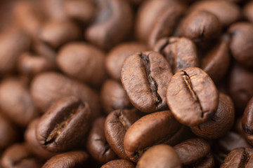Coffee beans. Coffee background. A coffee seed is a seed of the coffee plant, and is the source for coffee.