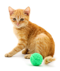 Fototapeta na wymiar Red cat with a ball.