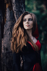 Fototapeta premium fairy tale witch in the forest