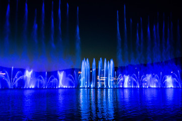 fountain at the night