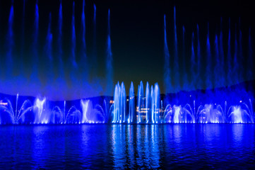 Obraz premium fountain at the night