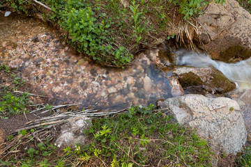 A small stream makes a gentle S shaped curve between banks covered with new spring plants.