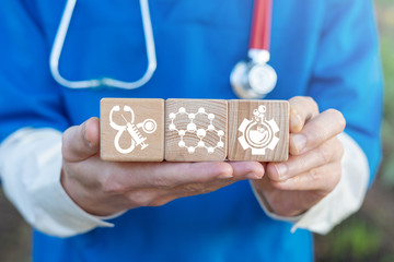 Doctor or scientist hold wooden blocks with hormone balance icons. Hormones healthcare science...