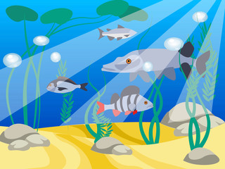 Fototapeta na wymiar Underwater world, a reservoir. Animals and nature of the lake. In minimalist style Cartoon flat vector