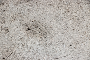 Beige white worn wall texture