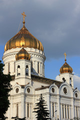 Fototapeta na wymiar Cathedral of Christ the Saviour close up view in Moscow, Russia. Religious city landmark with golden domes and white facade walls on cloudy summer day 