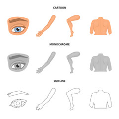 Vector design of body and part icon. Set of body and anatomy vector icon for stock.