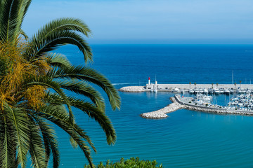 View of Menton Harbor. Palm tree and harbor with boats and lighthouse in Menton in France
