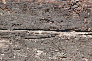 old wood wall texture 