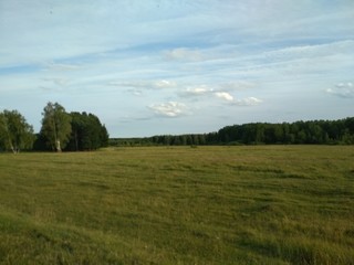 Fototapeta premium Природа