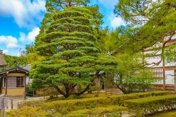 Ginkakuji Silver Pavilion Garden, Kyoto, Japan
