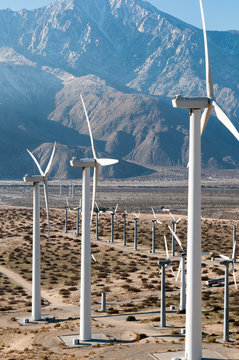 USA, California, Palm Springs. San Gorgonio Wind Farm.  In the  Coachella Valley it is one of the US's largest wind farms. It contains more than 4000 separate windmills in a 70-square-mile area and pr