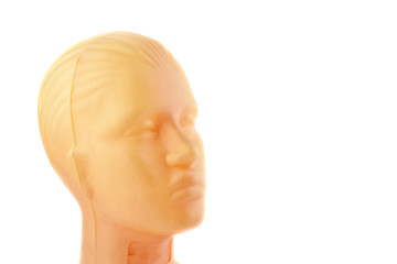 Plastic mannequin head isolated on white background