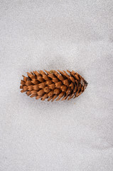 red bow pine cones on a white background