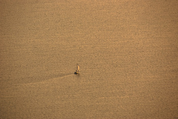 Aerial view of white sailboat leaving in the Balaton lake