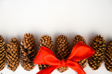 red bow pine cones on a white background