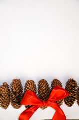 red bow pine cones on a white background