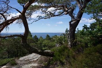 Fototapeta na wymiar View of the coastline in Norway