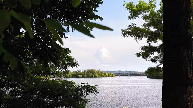 View of the Dnieper River from the high bank, tracking shot past the tree.