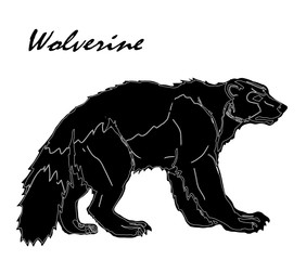 isolated black and white image of wolverine on a white background and the inscription  
