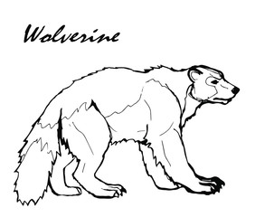 isolated black and white image of wolverine on a white background and the inscription  