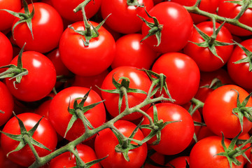 Fresh organic cherry tomatoes as background, closeup