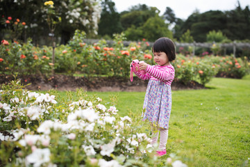 toddler girl play in  Summer rose garden