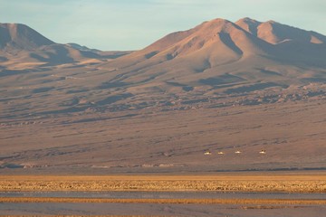 Fototapeta na wymiar Tramonto sulla laguna Chaxa tra fenicotteri rosa e vulcani, San Pedro De Atacama, Cile