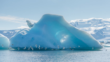 ICE Berg Climage Cold Blue