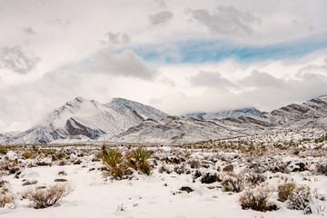 landscape of snow covered desert and mountains