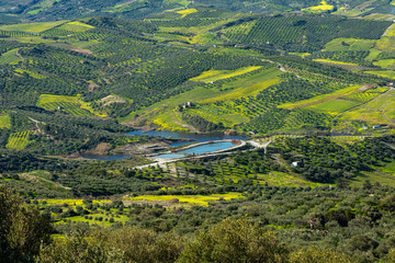 Aerial view of rural Archanes region landscape. Unique scenic panorama Olive groves, vineyards,...