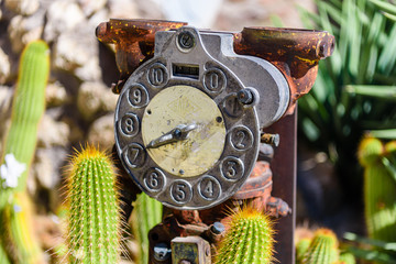 Old petrol pump among prickly cactus plants at Solitaire, Sesriem, Namibia © Stephen