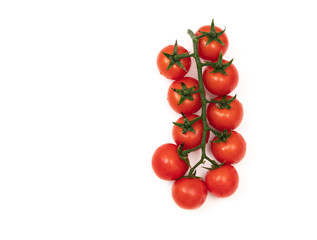 A branch of red cherry tomatoes on a white background. Small and juicy vegetable is rich in vitamins and trace elements. Healthy food. Fresh and organic vegetables. Raw food
