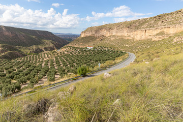 Fototapeta na wymiar country road at the Gorafe Megalithic Park valley, province of Granada, Andalusia, Spain