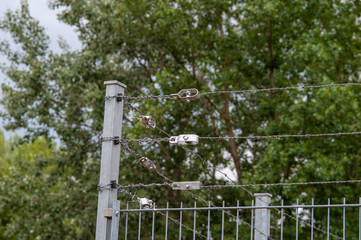 Barbed wire on industrial fence.