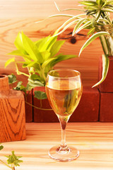 美味そうなワイン