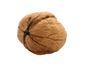 walnut isolated on white background