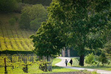 Padova countryside near Praglia abbey